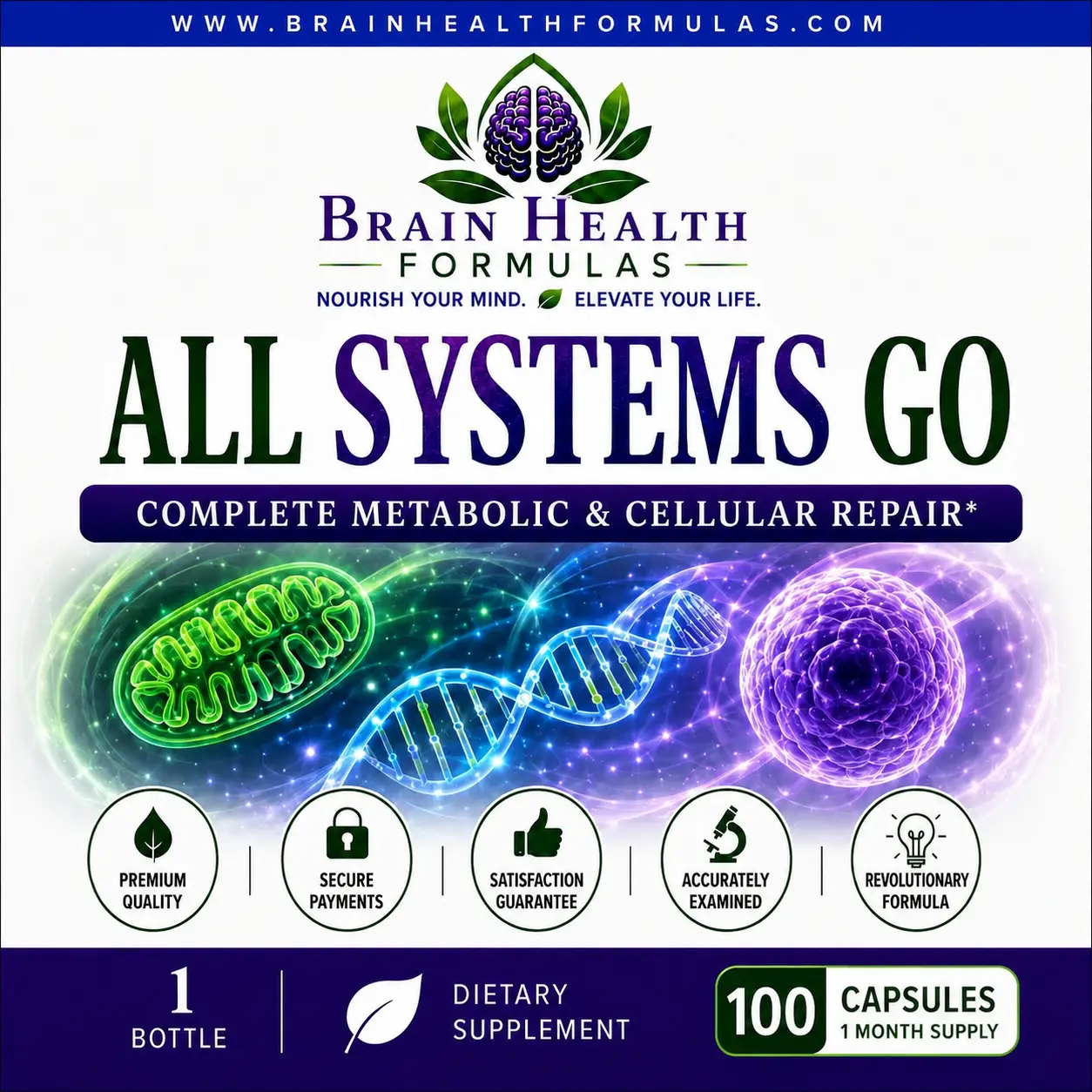 All Systems Go 100 All Systems Go