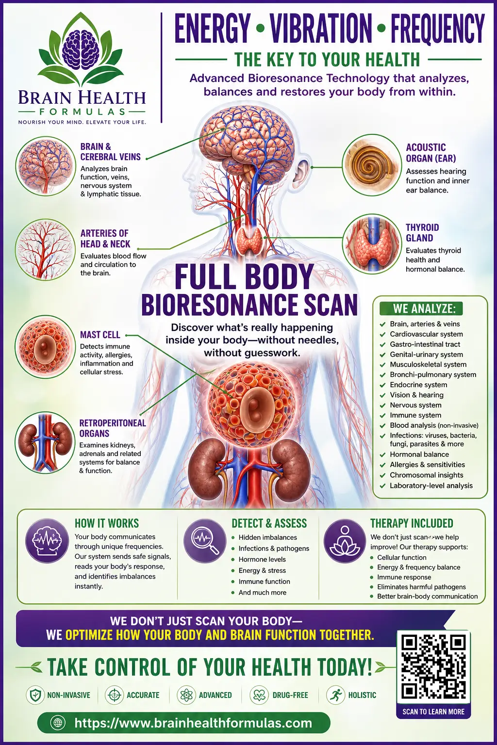 Brain Health Formulas Flyer Brain Health Formulas Flyer