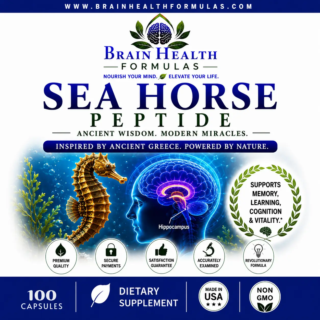 Brain Health Formulas Sea Horse Peptide Inspired By Ancient Greece Powered By Nature Brain Health Formulas Sea Horse Peptide Inspired By Ancient Greece Powered By Nature
