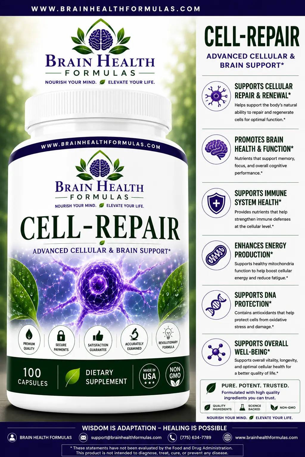 Cell Repair Cell Repair