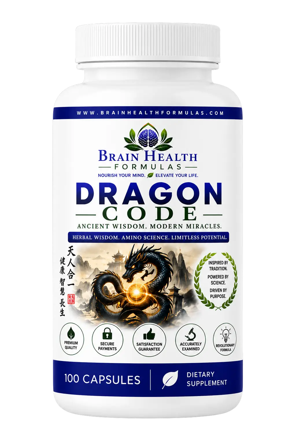 Dragon code Dragon code