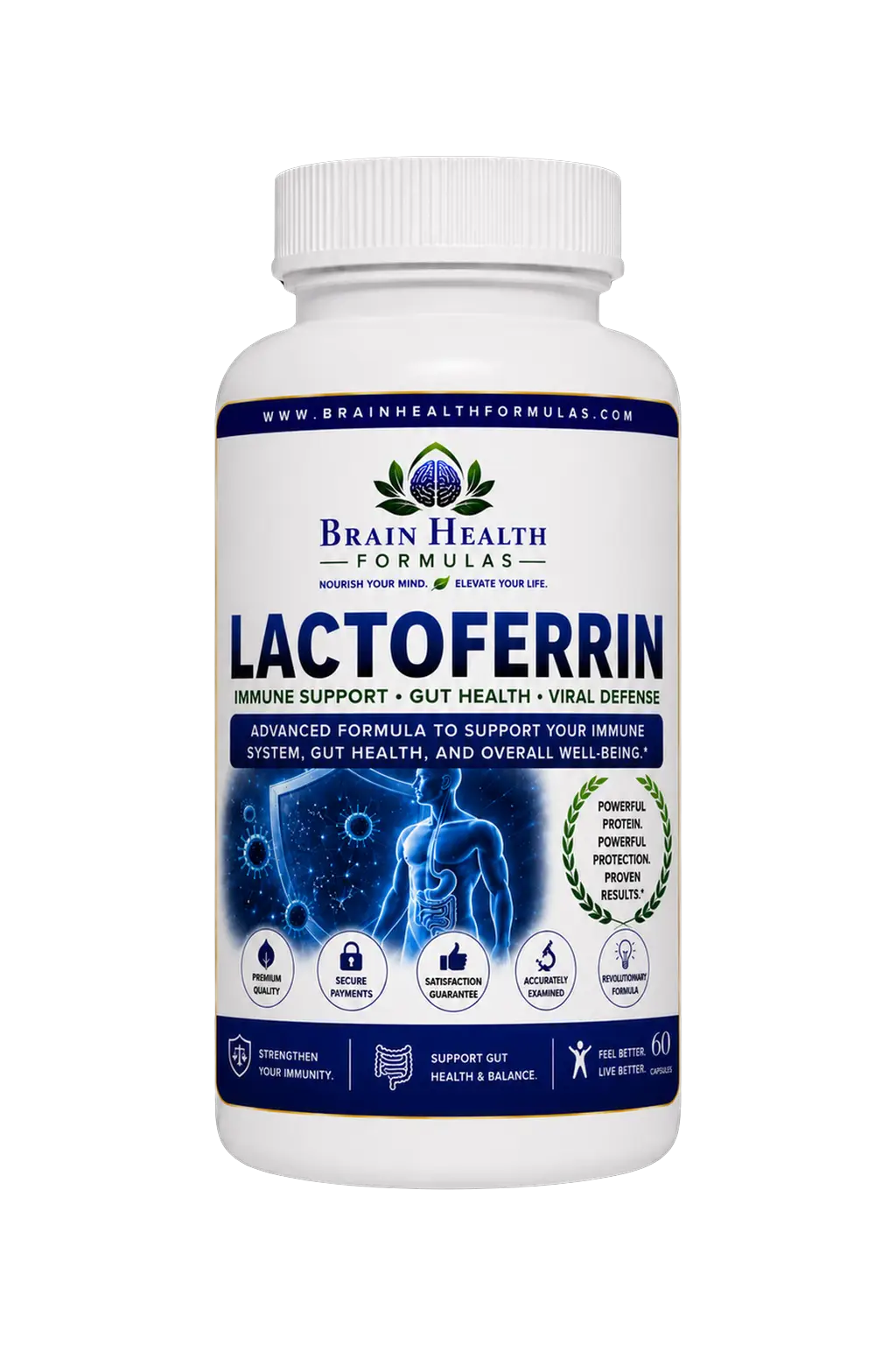 Lactoferrin Lactoferrin