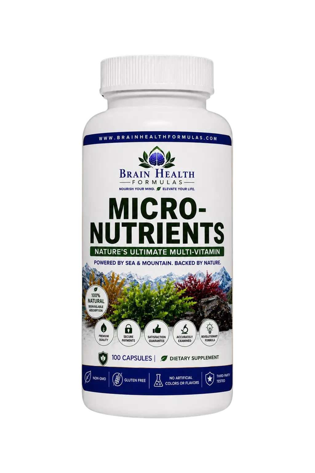 Micronutrients(1) Micronutrients(1)