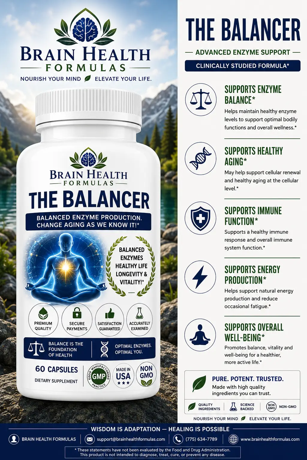 The Balancer The Balancer