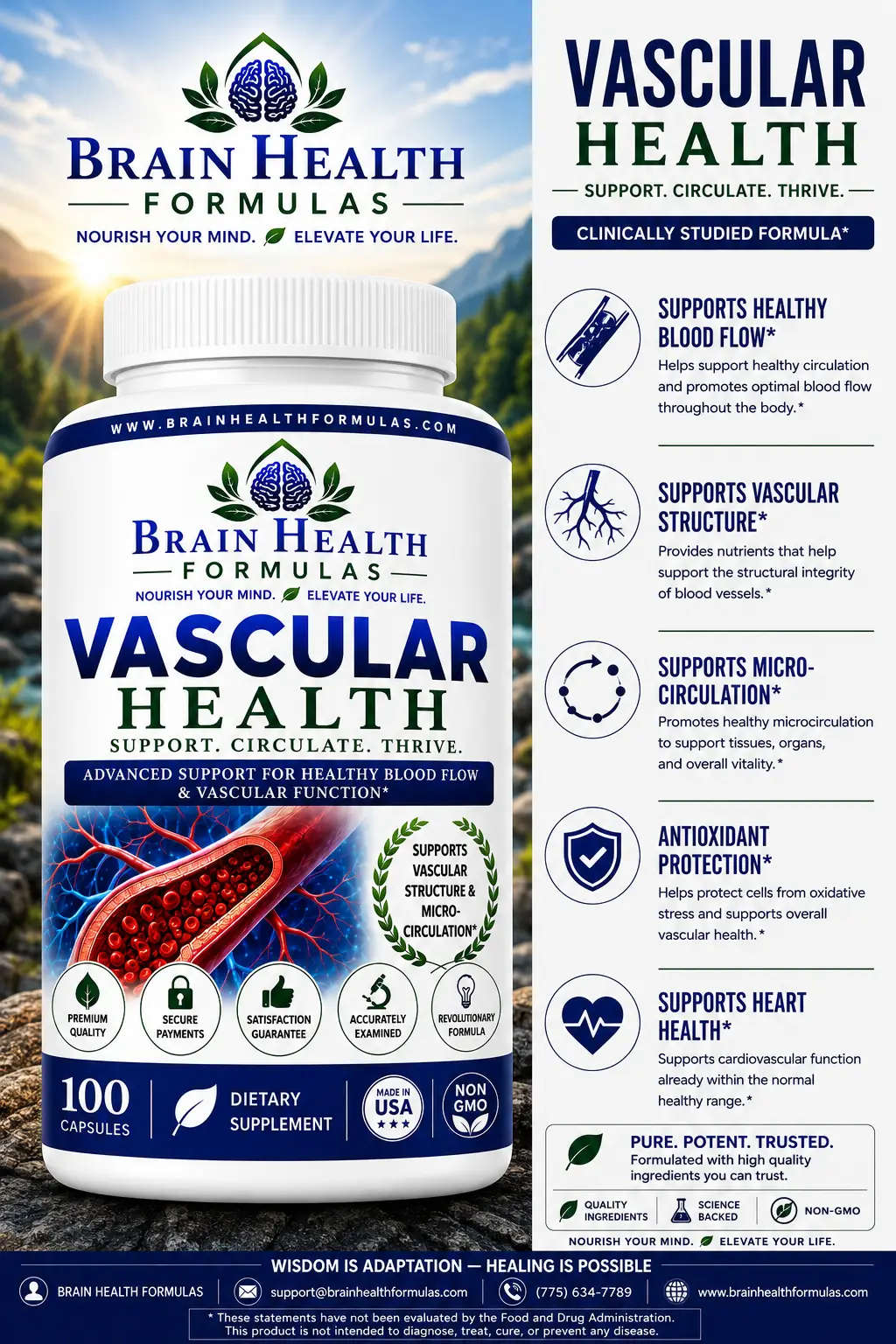 Vascular Health Flyer Vascular Health Flyer