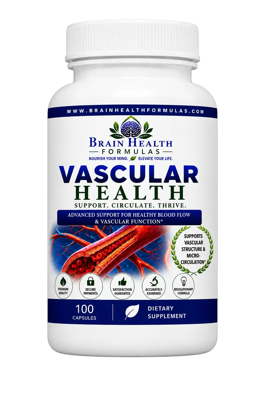 Vascular health Vascular health